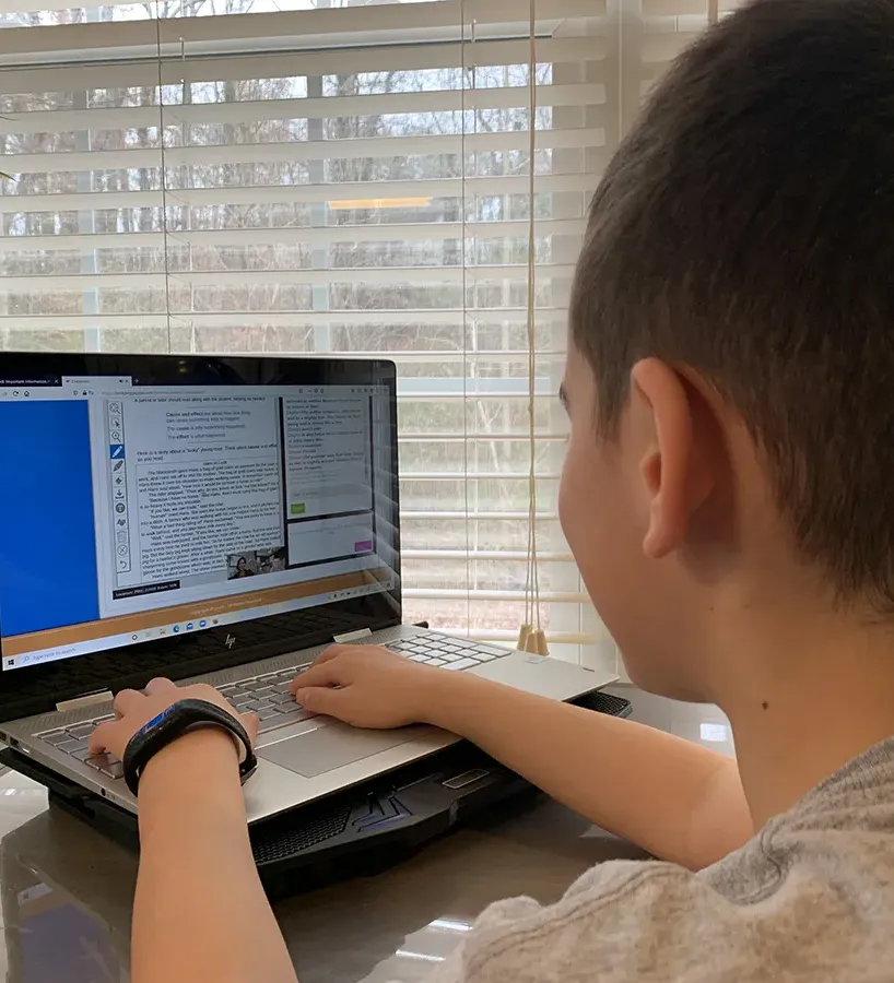 Middle-school age boy working with the Bridging Gap USA (BGAP) online tutoring portal